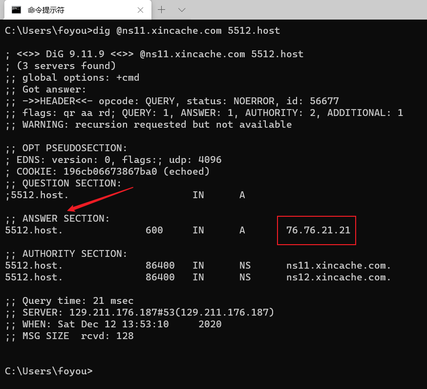image-20201212135358934